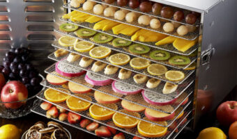 How a Food Dehydrator Can Make Your Life Easier, Cheaper and Waste Less