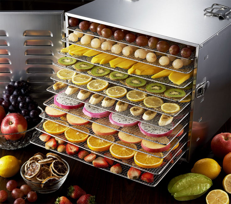 How a Food Dehydrator Can Make Your Life Easier, Cheaper and Waste Less